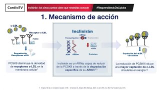 Inclisirán los cinco puntos clave que necesitas conocer [upl. by Ynoyrb397]