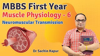 MBBS First Year  Muscle Physiology  Neuromuscular Transmission  Dr Sachin Kapur  AIIMS [upl. by Leavy]