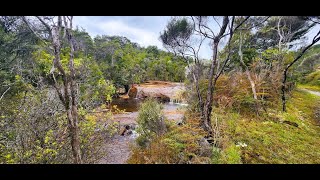 Family friendly walks around Mokihinui West Coast New Zealand [upl. by Molohs735]