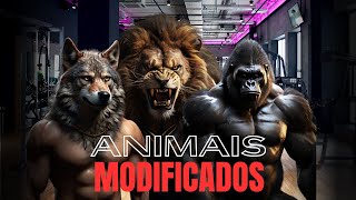 PLAYLIST MAROMBA ANIMAIS [upl. by Edaj241]