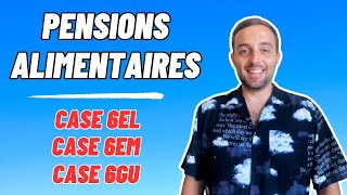 Comment déclarer les pensions alimentaires aux impôts  les cases 6EL 6EM et 6GU [upl. by Yaned]