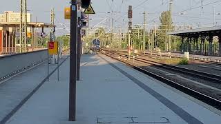 Railjet 257 in Dresden Hbf [upl. by Hegyera694]