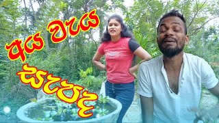 අය වැය සැපද  Aya waya sepada [upl. by Hakon]