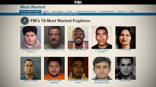 The FBIs 10 Most Wanted Explained [upl. by Ahsikin694]