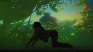 Elena Brower at Pipilotti Rist MoMA [upl. by Woolley257]