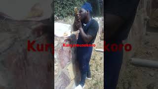 Kuryumusokoro comedy by the beat King 🌞 [upl. by Clo]