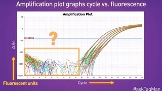 Baselines in RealTime PCR  Ask TaqMan® Ep 5 [upl. by Ayhdnas]