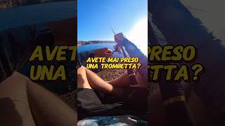 Avete mai preso una trombetta🎺🐟spinningfishing fishing pescainmare [upl. by Ellersick]