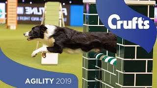 Agility  Championship Final  ​Crufts 2019 [upl. by Yrailih]