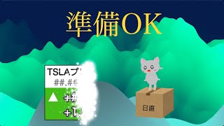 【米国株🇺🇸新NISA】嵐の前の嵐があるのがテスラ！さてさてどうかな 新曲登場ですむずい！【インド オルカン SampP500トップ10野村世界半導体 投資信託】 [upl. by Arissa]