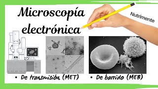 Microscopía ELECTRÓNICA  de Transmisión y De Barrido [upl. by Marjy]