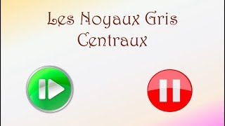 Neurofacile 7  Les noyaux gris centraux [upl. by Dagall271]