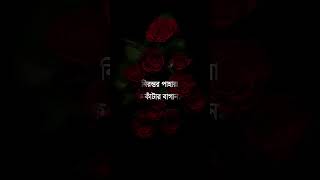 Srotoshini  স্রোতস্বিনী  Encore  Srotoshinni lyrics  bangla song lyrics  shorts  STAR MUSIC [upl. by Lednyc460]