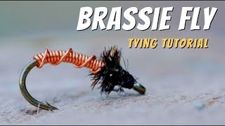 Brassie Fly Pattern Fly Tying Tutorial [upl. by Izogn224]