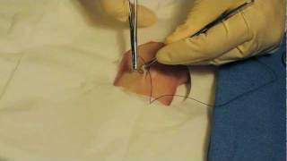 How to Suture with Dr Bones Dr Alton [upl. by Moshell753]