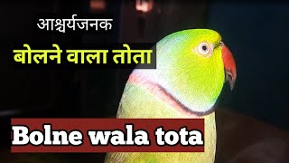 Bolne Wala Tota  Mitthu  बोलने वाला तोता  Talking Parrot  part  1 [upl. by Reywas]