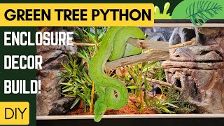 Green Tree Python  Breeding  OUR JOURNEY PART 2 [upl. by Cissej]