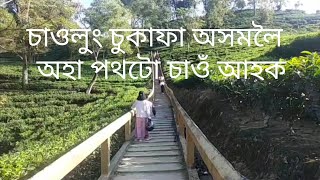 Tipam a tourism Place First capital of Ahom KingdomThe way of Sukafa was first entered in Assam [upl. by Elset]