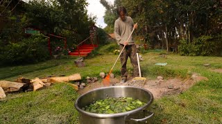 The Magic Huachuma Cactus 🌵 How to Prepare it and Its Psychedelic History  San Pedro [upl. by Nnylav]