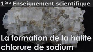 Cristaux  la formation de la halite  chlorure de sodium  Enseignement scientifique  1ère [upl. by Eceinahs]