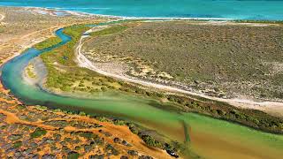 Shark Bay Western Australia sharkbay [upl. by Silbahc]