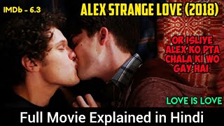 Alex Strangelove 2018 Movie Explained in Hindi  Alex love Elliott  Love is Love [upl. by Noella205]