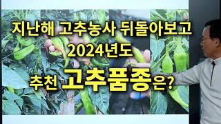 지난해 고추농사 뒤돌아보고 2024년도 추천 고추품종은 [upl. by Taryne]