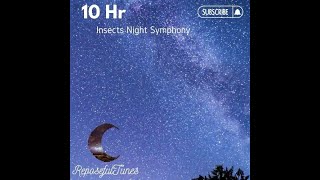 10 hr Insects Night Symphony [upl. by Rebbecca]