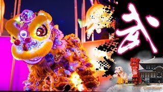 Dragon Dance amp Lion Dance Team International Services [upl. by Arotahs800]