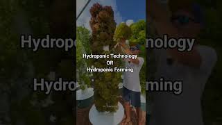 What is hydroponic technology   padhaicom shorts facts [upl. by Gilbertine]