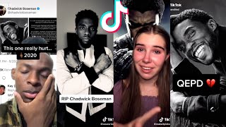 Chadwick Boseman THE BLACK PANTHER Passing  TIKTOK REACTION [upl. by Ahsema]