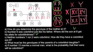 How to read a pedigree like a pro [upl. by Wilone]