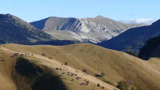 Démontagnée des Merens du vallon de Combeau à Etoilette [upl. by Sosanna868]