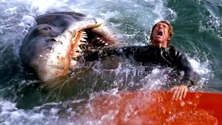 All the best shark attacks from Jaws 🌀 4K [upl. by Ymled]