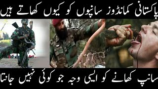 2023Worlds Most Brave Commandos ssg Pak Army 2020 Why Pak Army Commandos Eat Snakes [upl. by Lokin846]