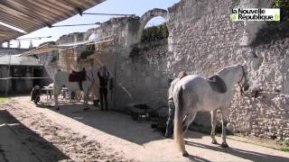 VIDEO Dernières voltiges à Chambord [upl. by Dierdre]