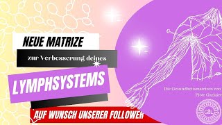 Lymphsystem  die neue Gesundheitsmatrize nach eurem Wunsch [upl. by Nerot177]