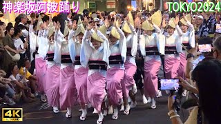 4K【神楽坂阿波踊り2024】全22連 Awaodori in Kagurazaka [upl. by Storm282]