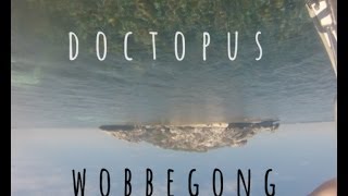 Doctopus  Wobbegong [upl. by Nnylasor179]