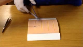 Basic Suturing Techniques [upl. by Annasor107]