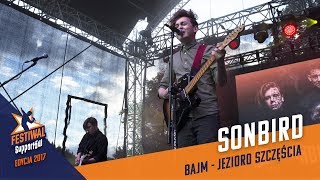 Sonbird  Jezioro Szczęścia cover Bajm [upl. by Yllatan]