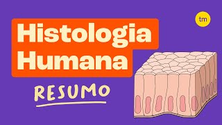 HISTOLOGIA  Os Tecidos do Corpo Humano [upl. by Romano]