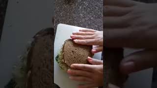 Sandwich de germinado de alfalfashorts [upl. by Valentino]