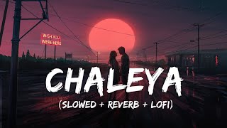 Chaleya  Lofi Mix  Slowed  Reverb  Arijit Singh Shilpa Rao  Jawan  SRK  SSR Lofi [upl. by Kaplan483]