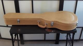 Glarry GLP Guitar Case Review [upl. by Ralfston]