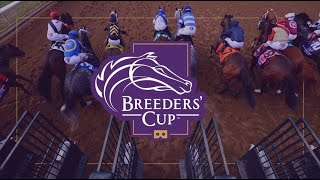 2022 Breeders Cup Post Race Press Conferences  Saturday [upl. by Ahtilat]