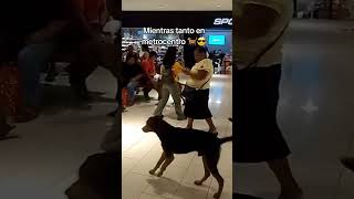 Perritos en centro comercial Metrocentro Santa Ana El Salvador [upl. by Orlosky823]