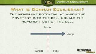 006 Donnan Equilibrium and Driving Force [upl. by Eirolam]