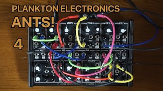 PLANKTON ELECTRONICS ANTS 4 [upl. by Idoj857]