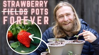 Planting Strawberries in Containers StepbyStep Guide for Beginners 🍓 [upl. by Westney]